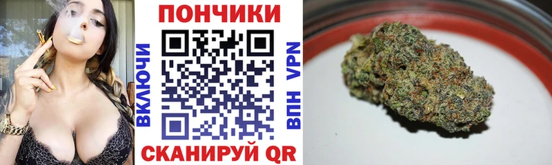 Марихуана конопля  Купить  Подпорожье 